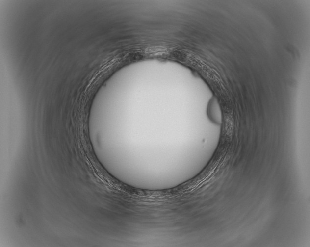 X0000110881393200906180935