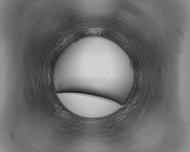 X0000110881394200906180935