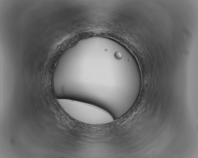 X0000110881398200906180935