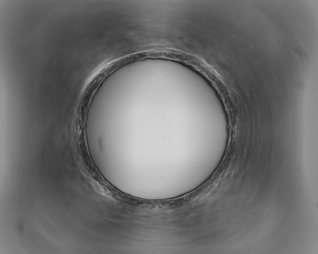 X0000110881400200906180935