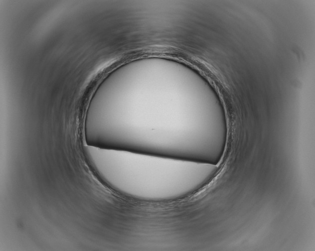 X0000110881402200906180935