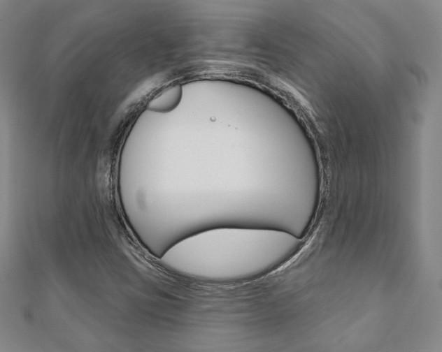 X0000110881403200906180935