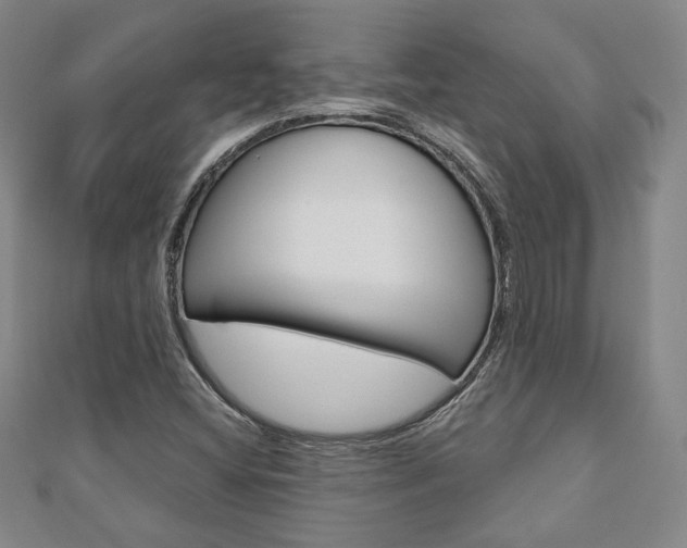 X0000110881404200906180935