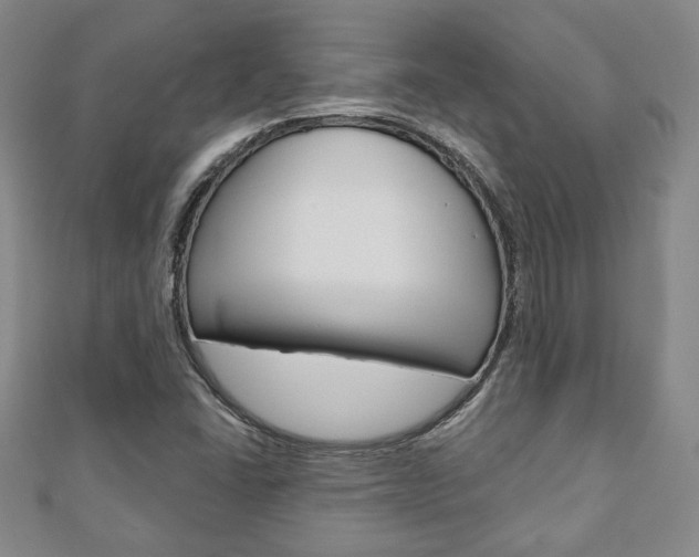 X0000110881406200906180935