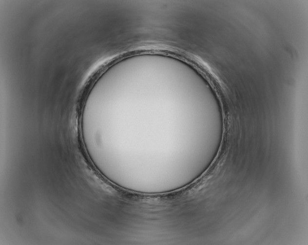 X0000110881408200906180935