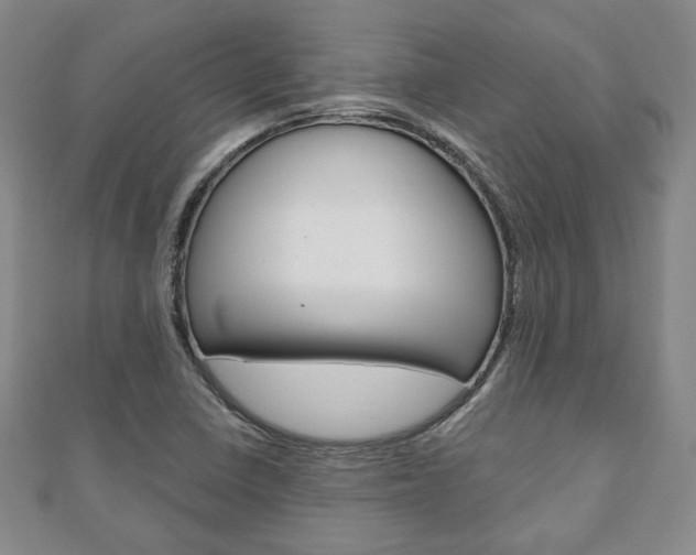 X0000110881410200906180935