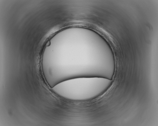 X0000110881411200906180935