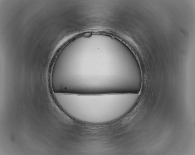 X0000110881412200906180935