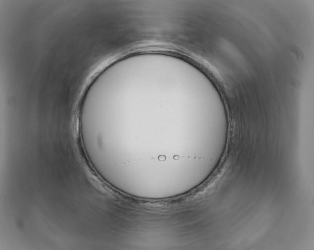 X0000110881413200906180935
