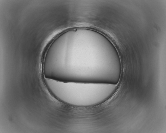 X0000110881414200906180935