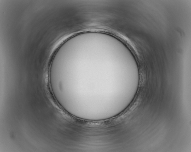 X0000110881415200906180935
