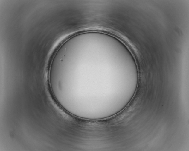 X0000110881416200906180935
