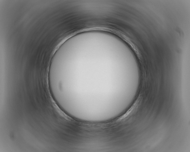 X0000110881417200906180935