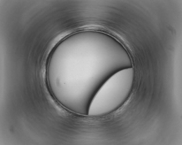 X0000110881418200906180935