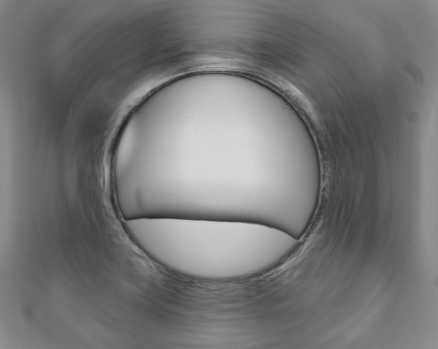 X0000110881419200906180935