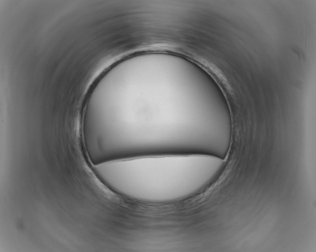 X0000110881420200906180935