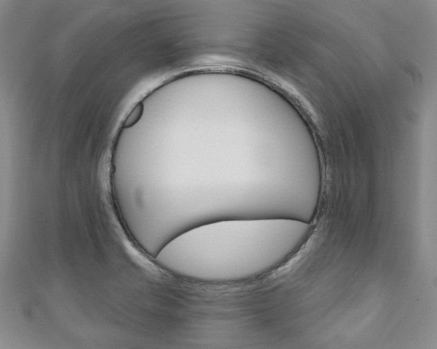 X0000110881421200906180935