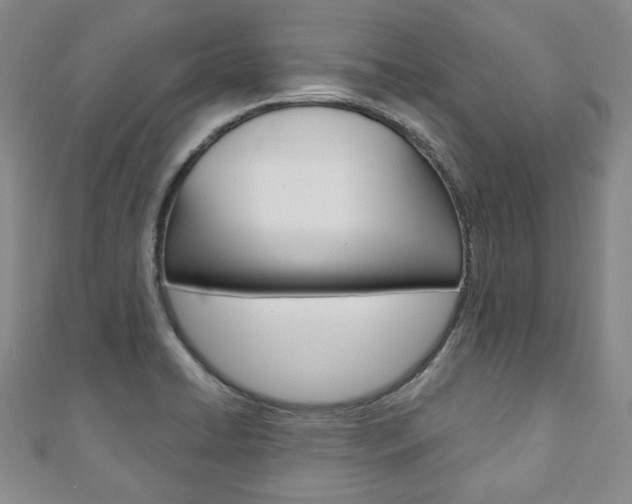 X0000110881422200906180935