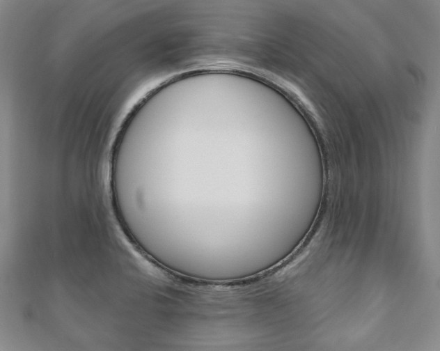 X0000110881424200906180935