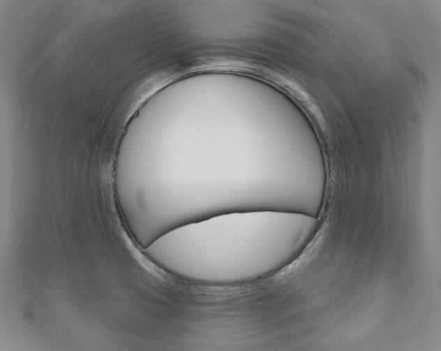 X0000110881425200906180935