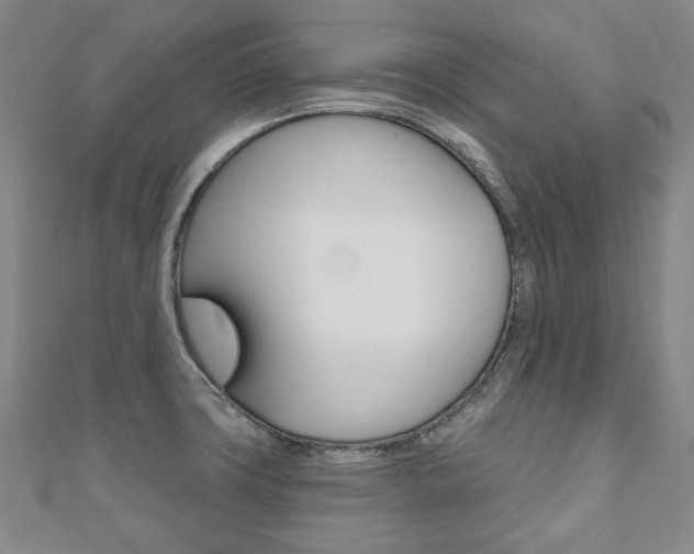 X0000110881427200906180935