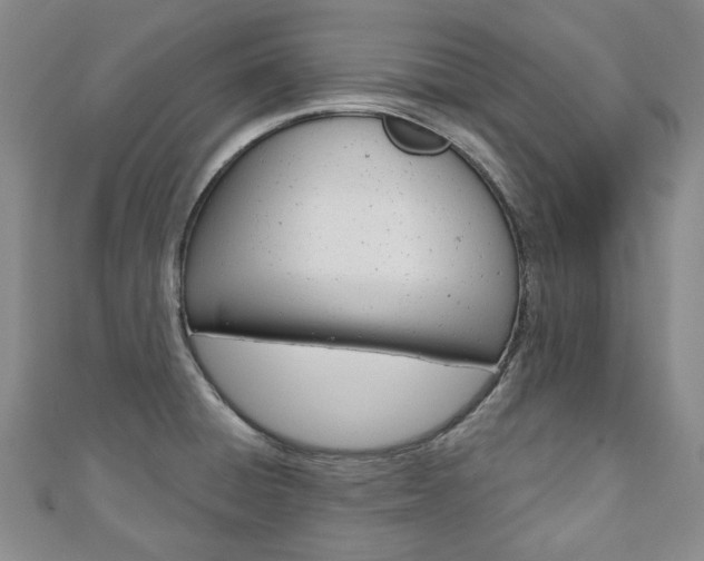 X0000110881428200906180935