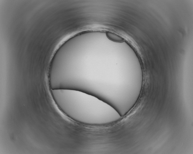 X0000110881429200906180935