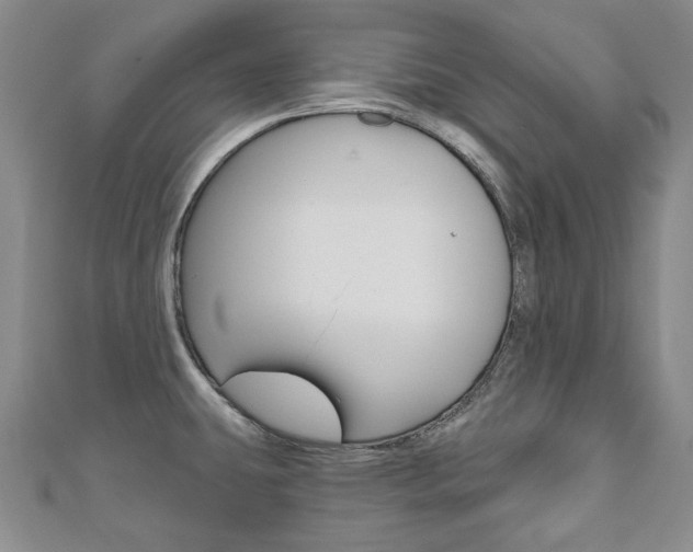 X0000110881431200906180935