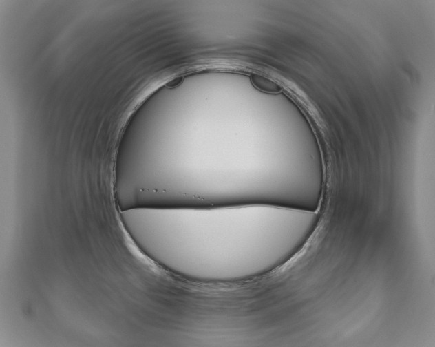 X0000110881433200906180935