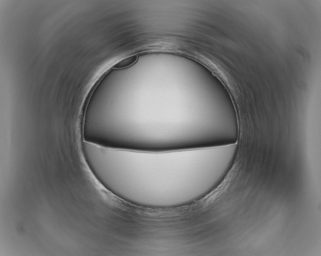 X0000110881434200906180935