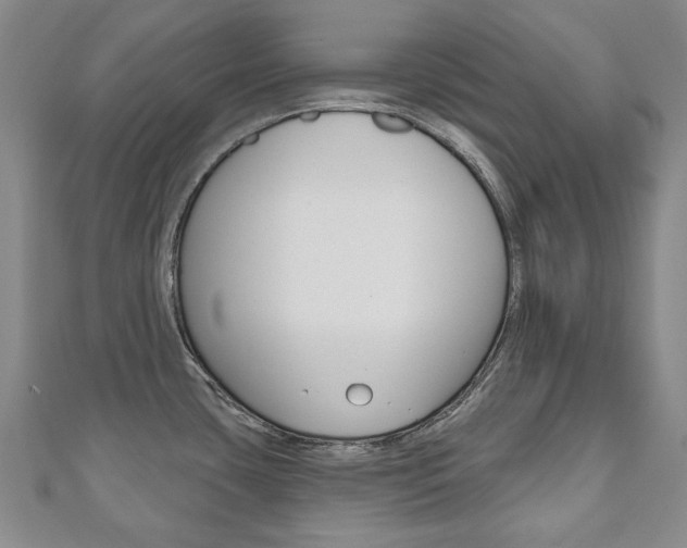 X0000110881435200906180935