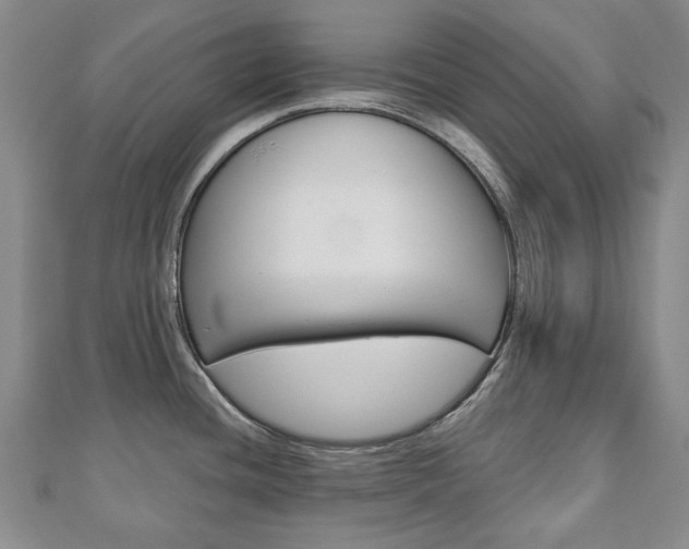 X0000110881436200906180935
