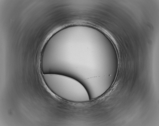X0000110881437200906180935