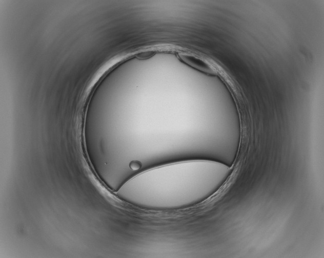X0000110881438200906180935