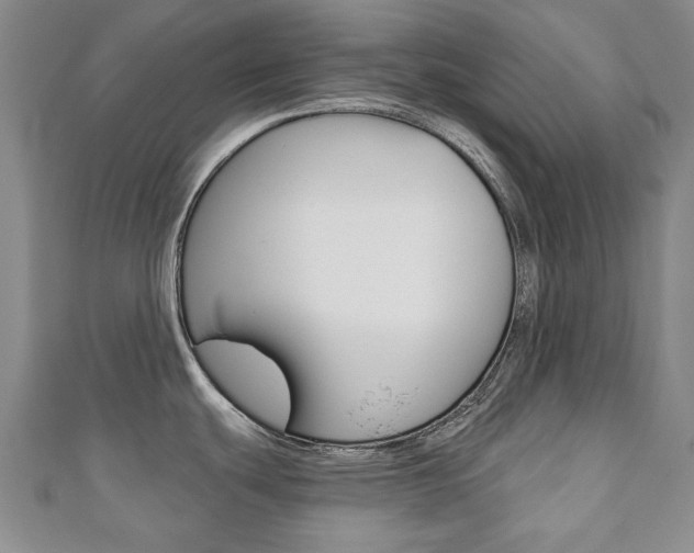 X0000110881439200906180935