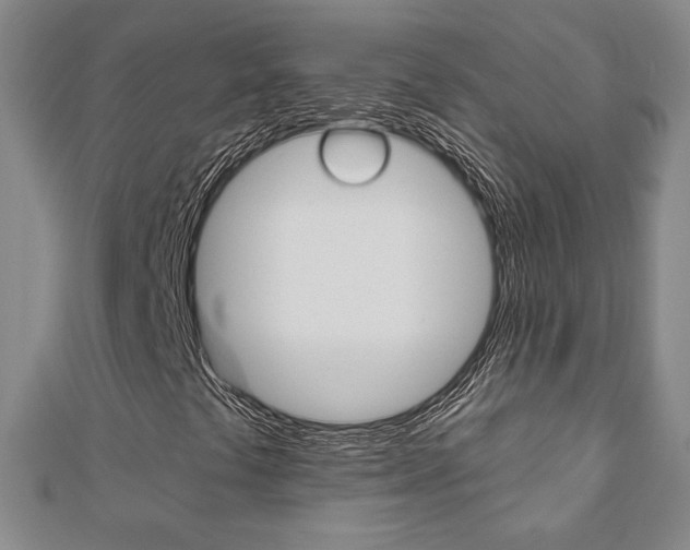 X0000110881441200906180935