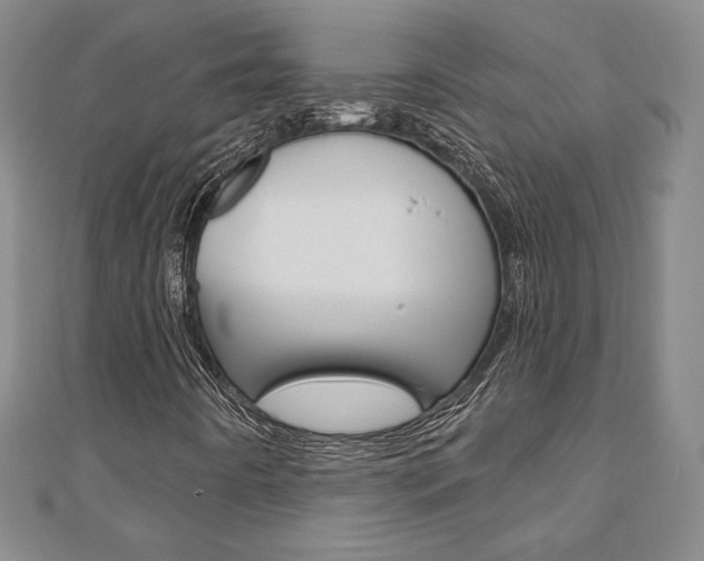 X0000110881442200906180935