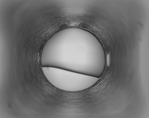 X0000110881443200906180935