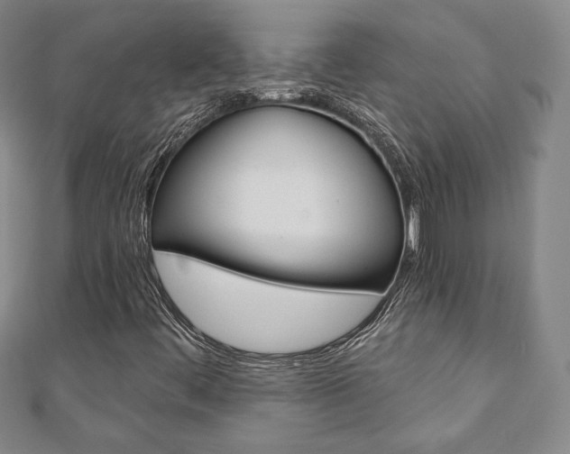 X0000110881444200906180935