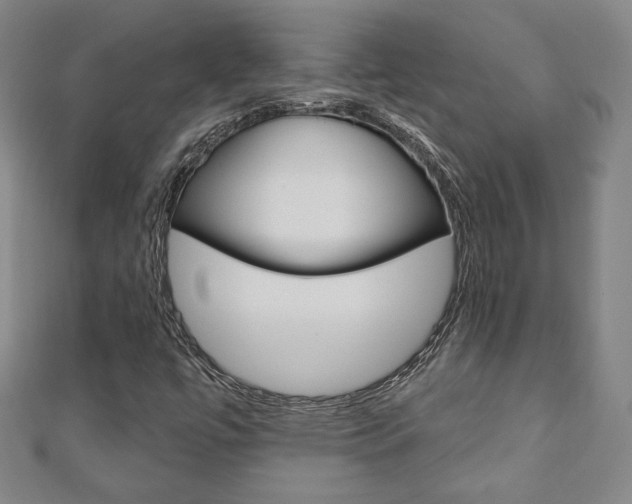 X0000110881447200906180935