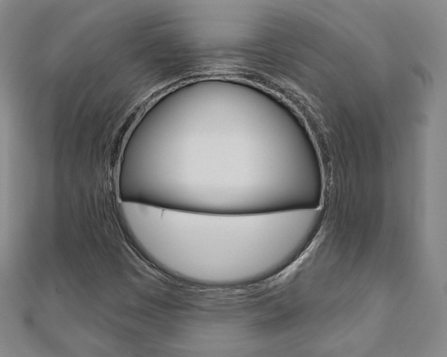 X0000110881449200906180935