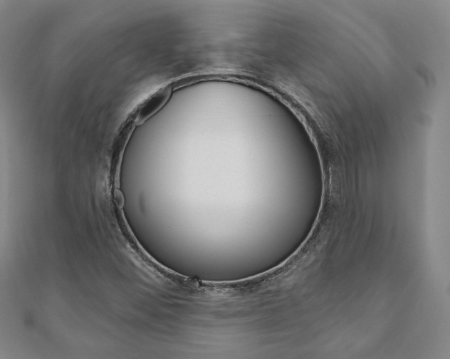 X0000110881452200906180935