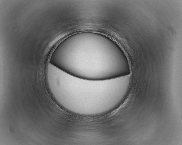 X0000110881453200906180934