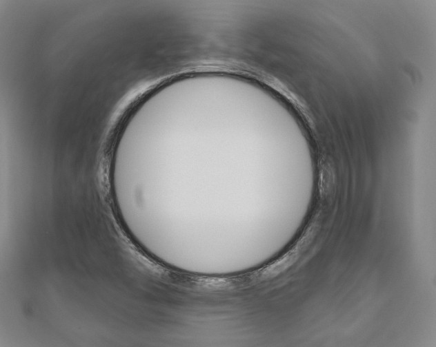 X0000110881454200906180934