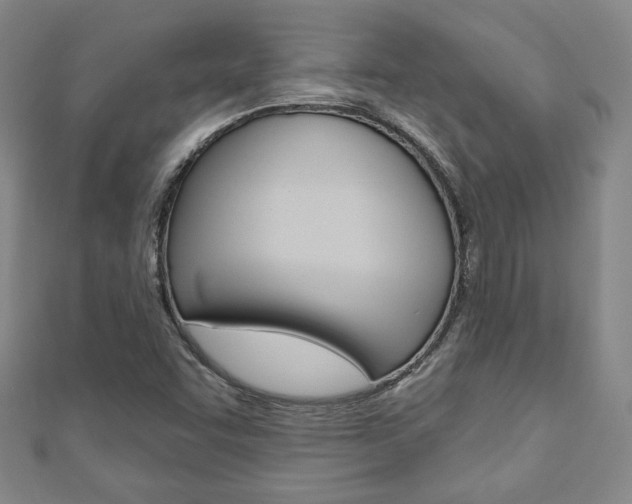 X0000110881455200906180934