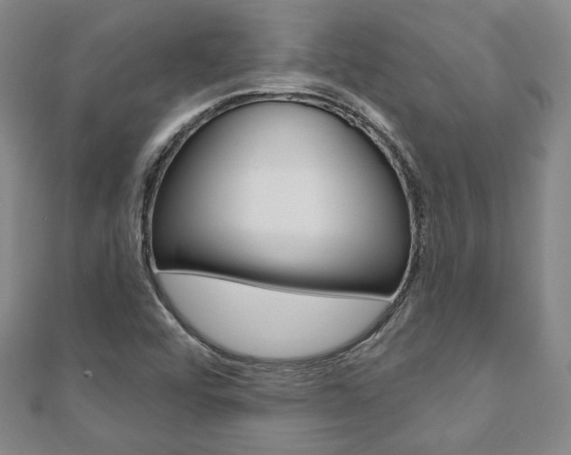 X0000110881456200906180934