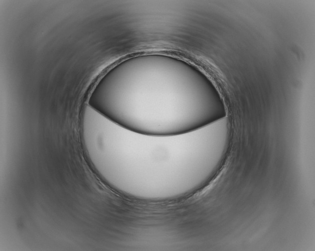 X0000110881457200906180934