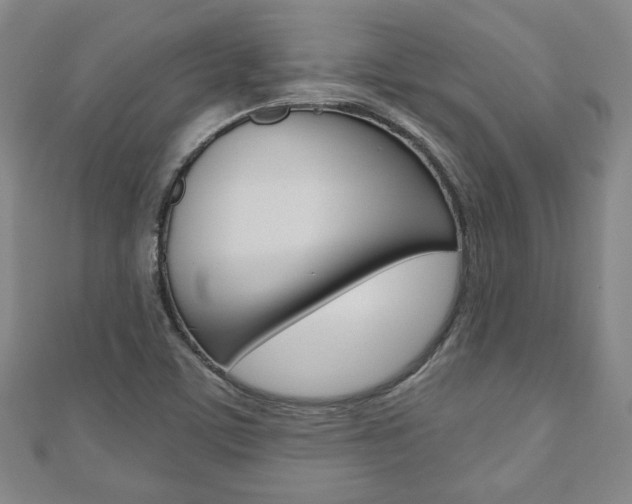 X0000110881459200906180934