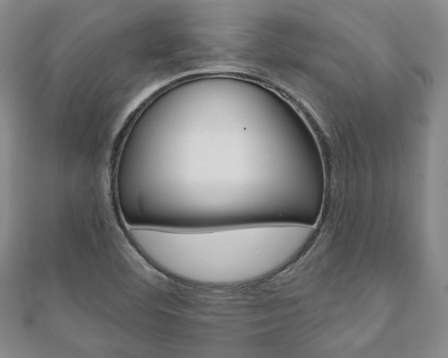 X0000110881460200906180934