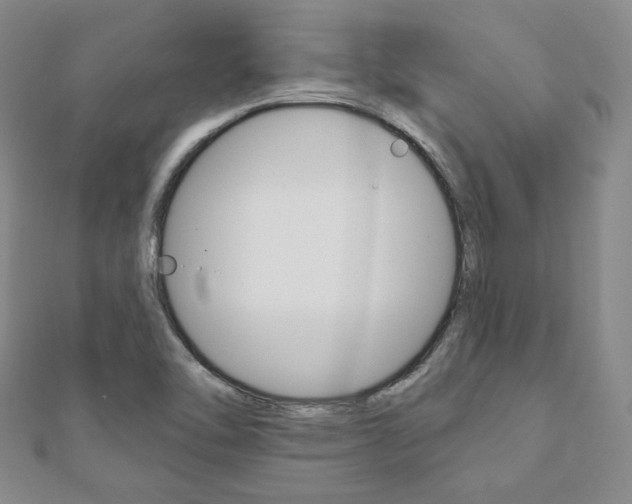 X0000110881462200906180934